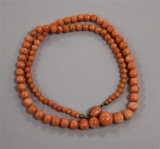 A single strand graduated coral bead necklace, with white metal clasp, gross weight 32 grams, 51cm.